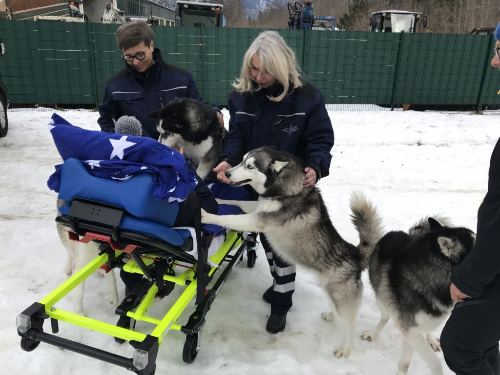 Letzter Besuch auf einer Husky Ranch